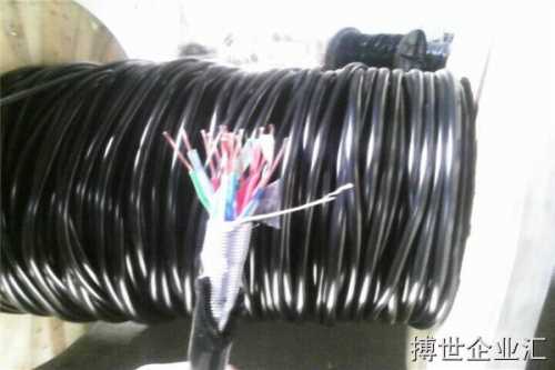 益阳30芯信号电缆