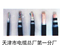 阻燃铁路信号电缆ZR-PTYV-厂家直销_供应产品_天津市电缆总厂第一分厂