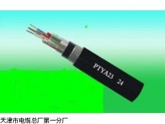 阻燃铁路信号电缆ZR-PTY23-电线电缆_供应产品_天津市电缆总厂第一分厂